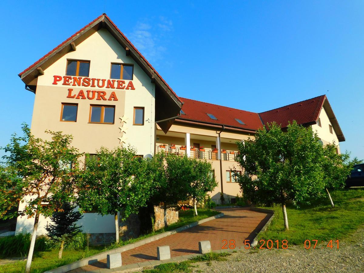 Pension Laura Cheile Turzii Petrestii de Jos Luaran gambar